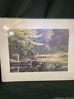 Photo of the unframed print showing the full image with white mat border and plastic cover.