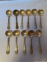 Top view of eleven ladle-style spoons arranged in two rows