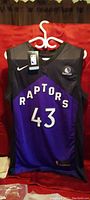 Front view of Toronto Raptors basketball jersey with number 43 and Raptors text