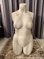 Front view of a curvy female torso mannequin placed on a patterned rug with a curtain backdrop.