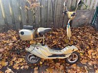 Side view showing gold electric scooter with seat and rear storage box on a bed of autumn leaves.