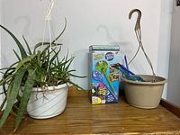 Aloe vera plant in a white hanging planter next to an empty beige hanging planter containing glass watering bulbs.