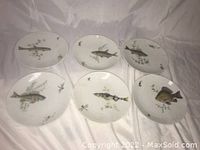 Set of six porcelain plates with different fish illustrations on a white cloth background.