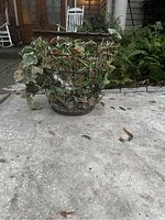 Wide shot of large metal wire basket with artificial green and pink variegated vine decoration on concrete ground outdoors near plants and porch.