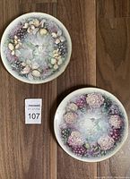 Two decorative hummingbird plates shown from above on a wood floor, each decorated with flowers and berries, no visible damage.
