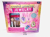 Front view of Crystal Growing Jewelry kit in box, pink and purple design, showing crystal solution tubes, molds, necklaces in clear window display.