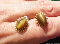 Close-up of both tiger eye cabochon earrings held on a finger showing the oval shape, gold-tone beaded border, and chatoyancy of the stones.
