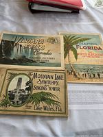 Front covers of three large antique postcard books: Niagara Falls Canada, Beautiful Florida, and Mountain Lake Sanctuary with Singing Tower near Lake Wales, Fla.