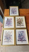 Photo showing all five framed vintage botanical prints arranged on a wooden surface.