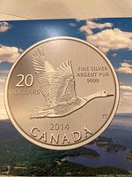 Front view of the 2014 Canadian $20 silver coin showing the flying loon design and inscriptions