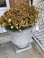 Front view of one heavy plastic planter with dead flowers inside, showing decorative leaf motifs and square base.