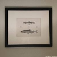 Framed fish lithograph print hung on wall showing entire frame and print.