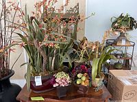 Photo of the five floral arrangements grouped on a wooden table with boxes and furniture in the background