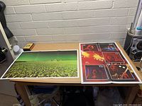 Photo showing both Pink Floyd posters laid flat on a wooden table, highlighting the overall condition and design of each.