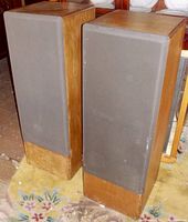 Pair of tall, wood-cased speakers with black fabric grills standing on floral carpet. One speaker slightly in front of the other, showing wood finish and grill condition.
