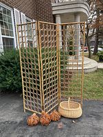 Front view of the three-section bentwood divider standing upright outside, alongside the basket and pumpkins placed at the base.