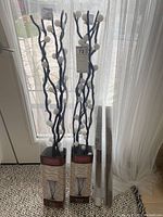 Two packaged willow branch LED decorative lights with white spherical bulbs, standing inside a door frame.