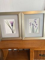 Front view of both floral prints, showing their silvery wooden frames and light gray mats.