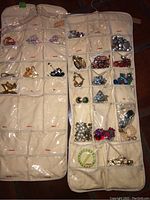 Full front view of the hanging jewelry organizer showing numerous clear compartments containing earrings, bracelets, and necklaces of various styles and colors.