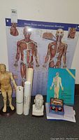 Photo showing large wall chart with acupuncture meridians, wooden male anatomical model, bust model with acupuncture points, blue acupuncture book, boxed set, and rolled posters.