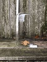 Full view of clear glass bell jar dome showing rounded top and wide base sitting on outdoor surface with a leaf underneath.