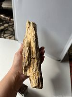 Large opalized petrified wood stone shown from side angle displaying natural wood grain textures and layered structure.