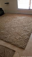 Full view of the thick beige shag rug covering the floor of the room.