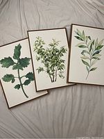 Three botanical plant art prints framed in brown faux wood plastic frames lying on fabric.