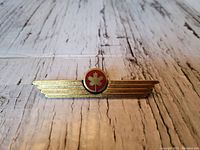 Close-up front view of the vintage Air Canada badge showing gold wings and red circle with gold maple leaf.