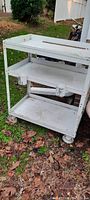 Front and side views of the all steel utility cart showing three shelving levels and wheels on a leaf-covered outdoor ground.