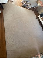 Beige textured area rug on wood flooring with some light furniture and foot traffic marks, showing overall condition and size.