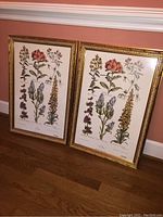 Pair of two gold framed flower paintings leaning against the wall on a wood floor. Both paintings depict botanical flower illustrations with various colored flowers on white backgrounds.