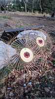 Photo showing two large metal circular hay rake wheels with yellow and red central hubs, resting outdoors on ground covered with leaves.