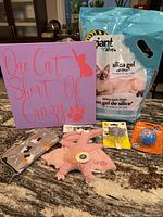 Image showing all items together: homemade cat canvas, silica gel cat litter bag, pink plush cat toy, feather cat toy, reusable bag folded, and the treat ball toy.