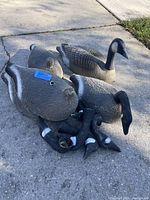Seven vintage geese decoys arranged on pavement showing black necks and heads with white markings, and painted feathered bodies.
