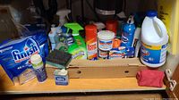 General overview of cleaning supplies on a shelf including sprays, powders, sponges, and a jug of bleach