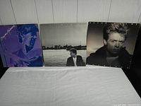 Three Brian Adams vinyl albums showing front covers, positioned side-by-side against a wood panel background.