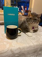 Front view of black ceramic mug with gold handle next to turquoise David's Tea box and lying cat.