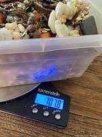 Clear plastic storage container filled with mixed jewelry components sitting on digital scale