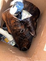 Partial mechanical bull head with brown and white synthetic fur, displayed in cardboard box showing damage and wear.