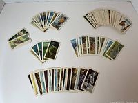 Photo of multiple tea cards fanned out and grouped by set on a white surface