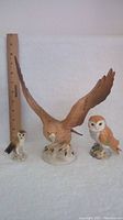 Front view of all three bird figurines including the large golden eagle with spread wings, small barn owl on left, and medium barn owl on right with ruler showing scale.