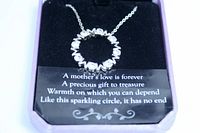 Circular resin box holding the necklace with poem insert visible beneath the pendant.