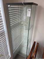 Front and side view of tall, narrow glass curio cabinet with black top panel and 3 glass shelves inside. Light fixture cord visible at top inside.