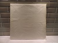 White album front cover in protective plastic sleeve against tiled background