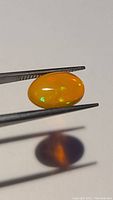Oval cut bright orange Ethiopian opal held by tweezers showing green, red, and yellow flashes under light.