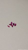Six untreated marquis cut natural rubies arranged on a white surface, showing size and color.