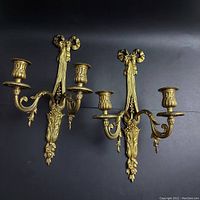 Pair of gilt bronze sconces displayed side by side
