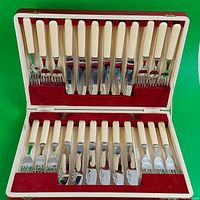 Full view of cutlery set inside open red presentation case showing 12 knives and 12 forks