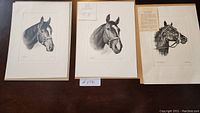 Three mounted and matted black and white horse portrait prints of Dust Commander, Forward Pass, and Proud Clarion arranged side by side on a wooden surface.